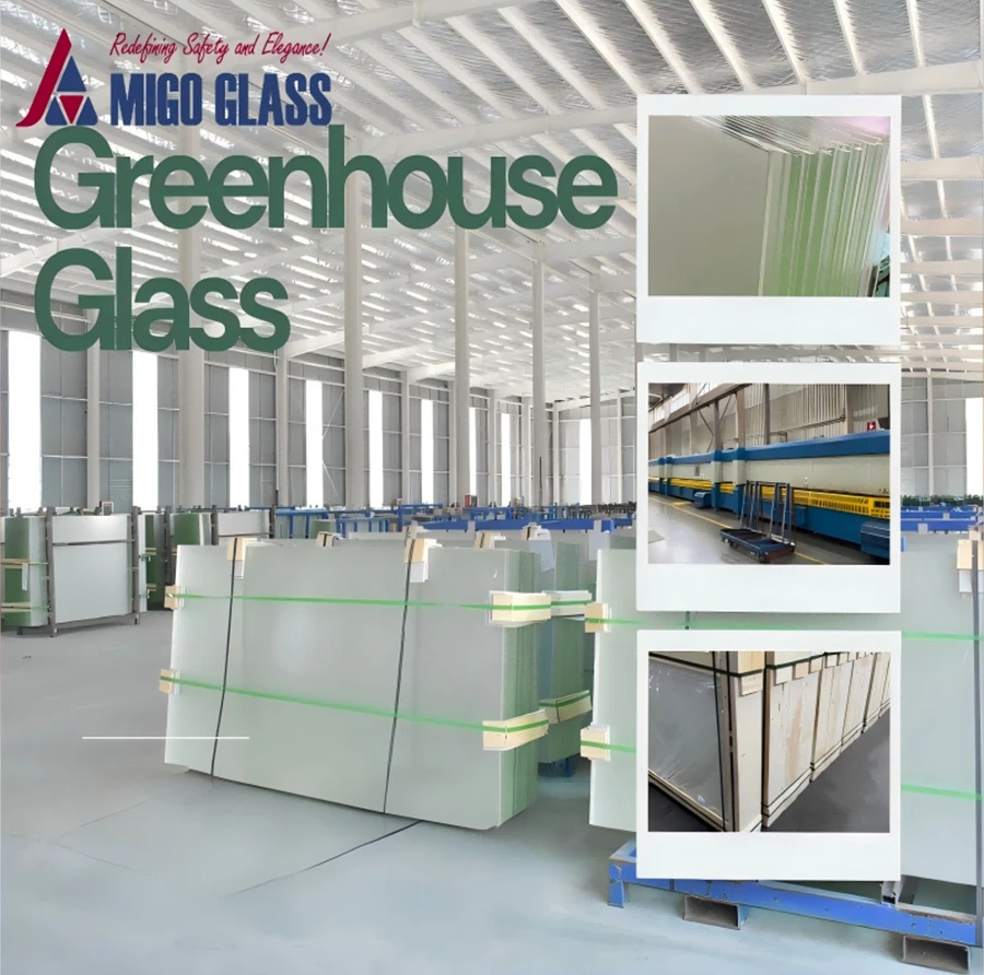 Transparent Greenhouse Glass Transparent Greenhouse Glass