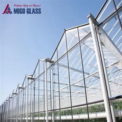 Ħġieġ ittemprat imxerred tal-Ħadid Nofs Ortikulturali